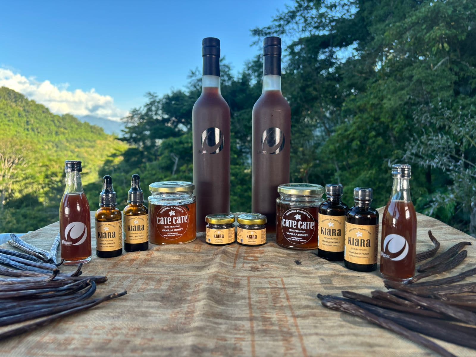 Fundo San Rocco - La Sinergia Agroindustrial